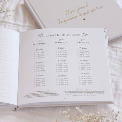 Journal de grossesse et post-partum ZU